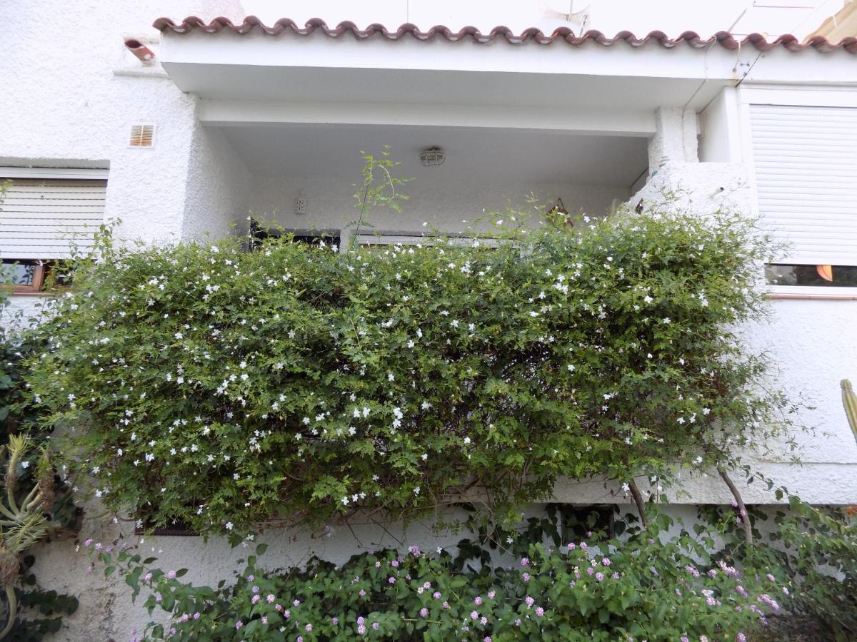 Bungalow Casiopea Internet 300 Mb Sat Smarttv El Campello Exterior photo