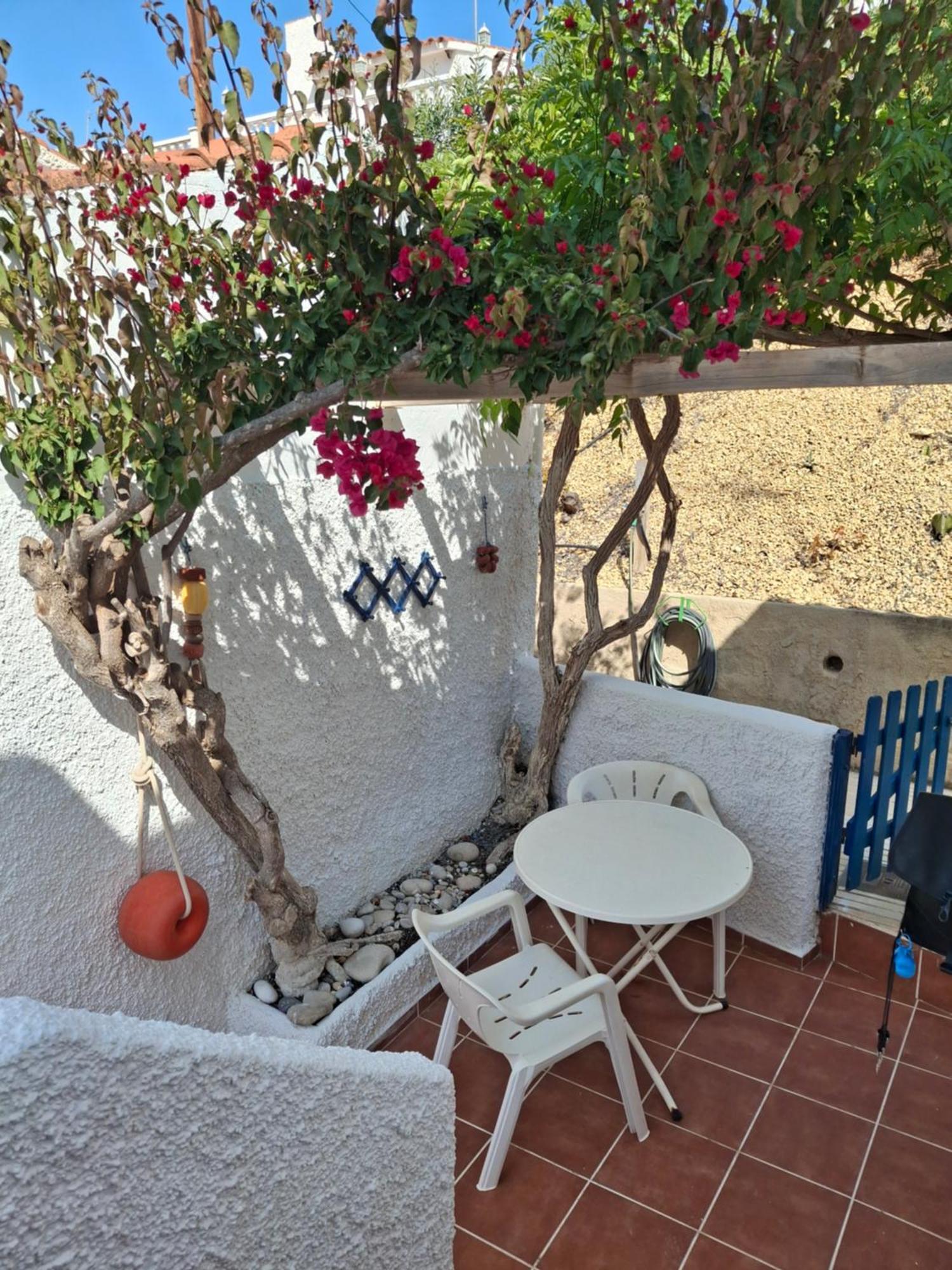 Bungalow Casiopea Internet 300 Mb Sat Smarttv El Campello Exterior photo